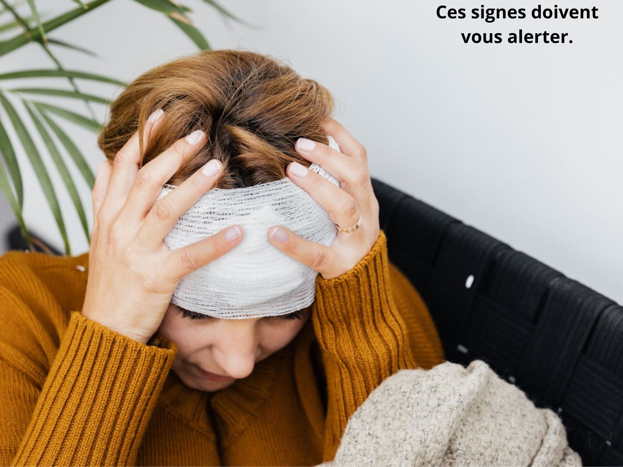 Ajouter un titre (11)